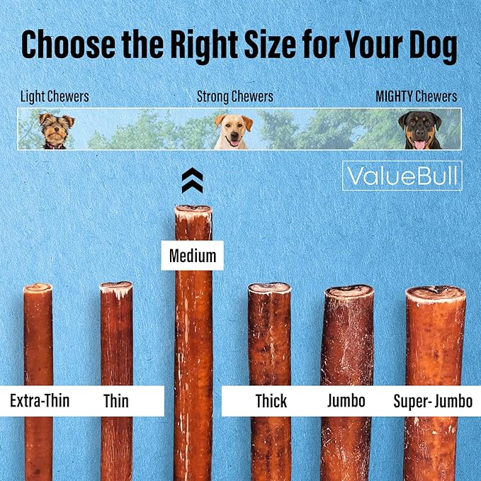 ValueBull Bully Sticks for Dogs, Medium 6 Inch, 100 Count Bulk Pack - All Natural, Grass Fed, Single Ingredient, Long Lasting Dog Treats