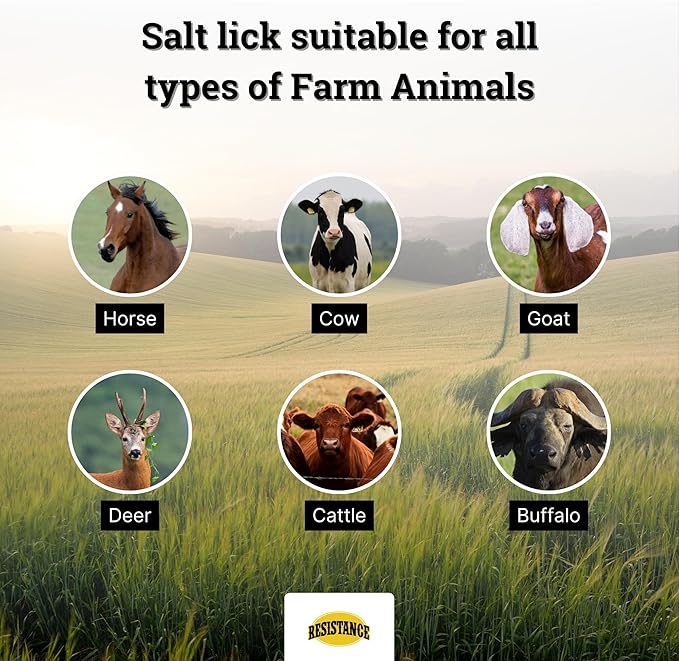 RESISTANCE Himalayan Salt Lick 2lb Block on Rope for Horses, Cattle, Deer, Goats, and Livestock – Pack of 10 Blocks