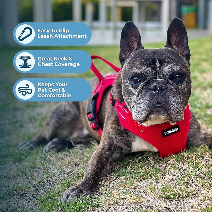 Best Pet Supplies Voyager Mesh Dog Breathable Harness Reflective Stitching, All Weather Adjustable for Walking Training, or Running - Heavy Duty & Durable, Harness (Red), S