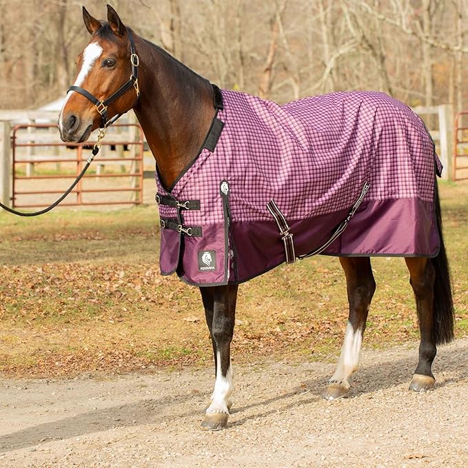 Equinavia Norse No Fill Horse Rain Blanket (0g) | Waterproof Lightweight Turnout Sheet - Black - 66 in - Plum Wine/Orchid Haze - 72 in