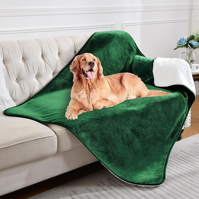 Waterproof Blanket for Bed Couch Sofa, Soft Liquid Pee Proof Pet Blanket for Dog Puppy Cat, Reversible Sherpa Fleece Furniture Protector (Green, 50x60 inches)