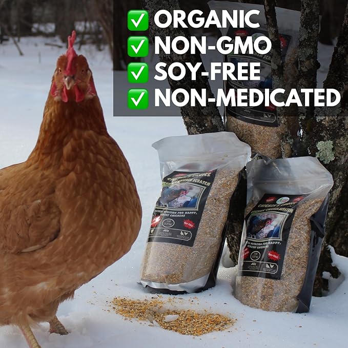 Chicken’s Choice Organic Chicken Scratch 5 lb Bag. Organic 5 Grain High Protein Premium Scratch Grain Treats & Food For Poultry, Duck & other Birds - Non-Gmo Chicken Feed, Soy Free Natural Ingredients
