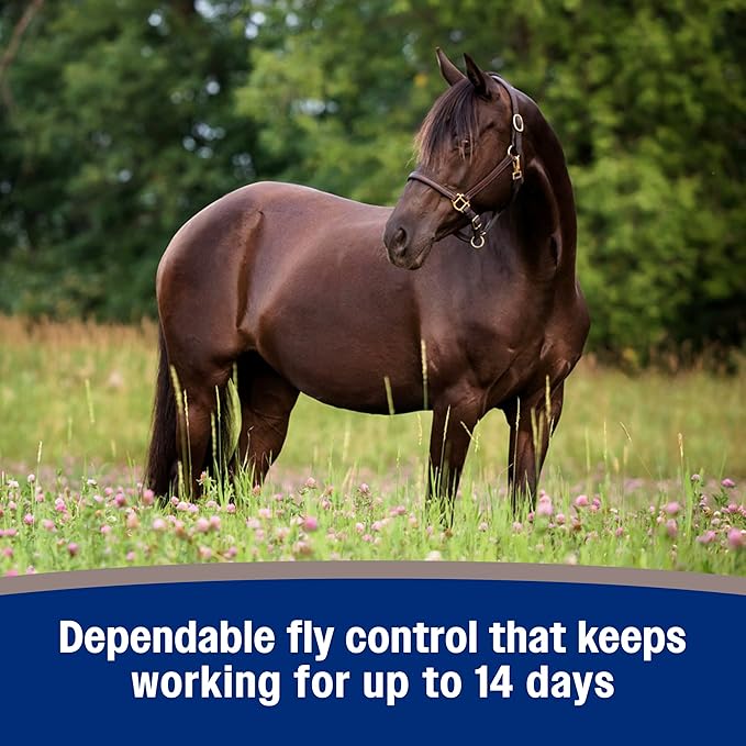 Farnam Tri-Tec 14 Fly Spray for Horses – Long-Lasting Insect Repellent Kills and Repels Flies, Gnats, Ticks & Mosquitoes, Conditions Coat – Up to 14 Days Protection – 128 oz