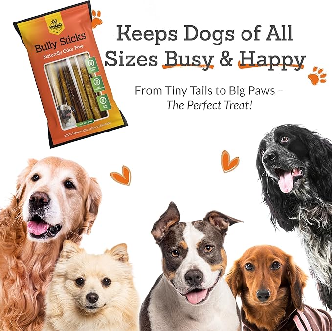 Advance Pet Products 6 Inch Bully Sticks (Pack of 5) - 100% Beef, Odor Free Dog Chews for Aggressive Chewers - Long Lasting, Gluten-Free, Easy to Digest, High Protein & Rawhide Free Chews for Dogs