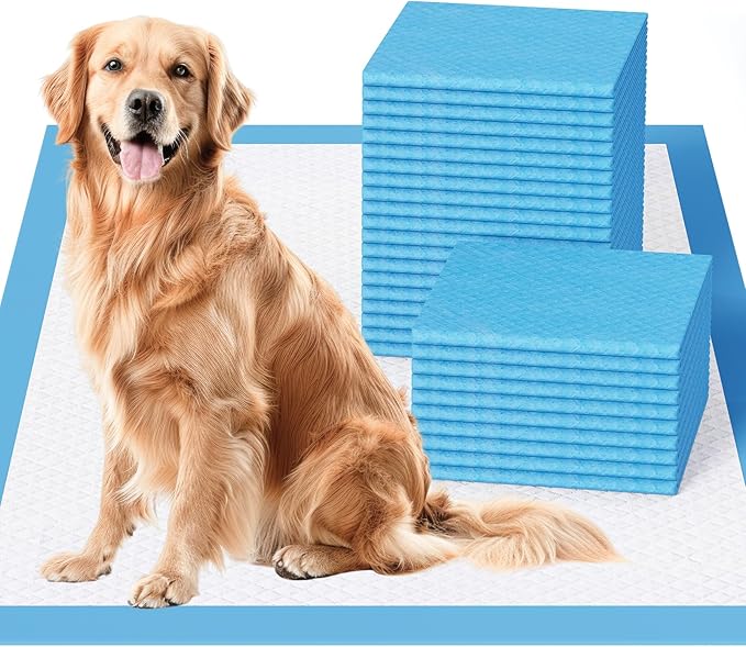 JollyMate Dog Pee Pads Extra Large 30"x36", 100 Pack X-Large Super Absorbent Pet Training Pads with Adhesive Tabs, 6 Layers Thick Leak-Proof Potty Pads for Dogs and Puppies