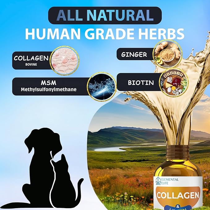 Liquid Collagen for Dogs and Cats, Skin & Coat Supplement, Itch Relief, Joint & Mobility Support, Enriched with Grass-Fed Collagen, MSM, Biotin & Ginger, Daily All-in-One Pet Health Formula