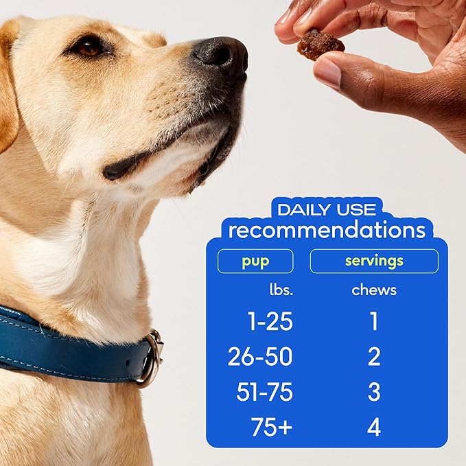 Native Pet Omega Skin and Coat Chews for Dogs - Dog Skin and Coat Supplement for Healthy, Shiny Fur, Reduce Shedding and Dry Spots - Made with Omega 3 Fish Oil and Wild-Caught Salmon Oil - 30 Chews