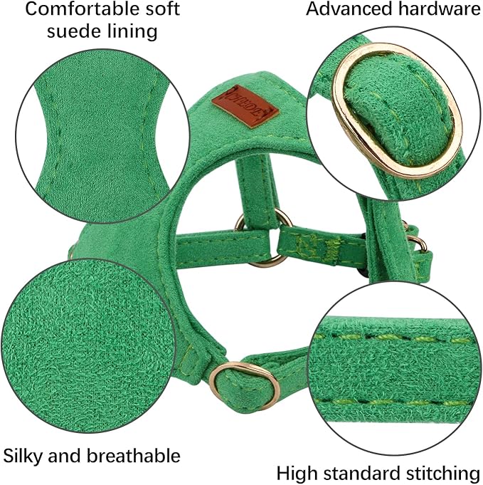 CHEDE No Pull Puppy Harness and Multifunction Dog Leash Set- 8 Colors Soft Adjustable No Choke Escape Proof Cute,Lightweight Pet Vest Harness for Small and Medium Dog (M, Green)