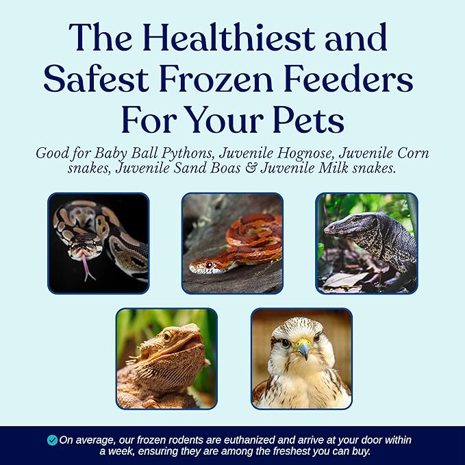 MiceDirect Frozen Pinkie Rat Food for Corn, Rat, King Snakes & Other repitles. (125 Count)