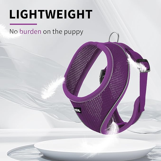 AIITLE Reflective Dachshund Harness, Soft No-Pull Design, Breathable 3-Layer Mesh for Medium Dogs, Adjustable Fit for Hiking, Training – Fits Pugs, Bichon Frise (XL, Purple)