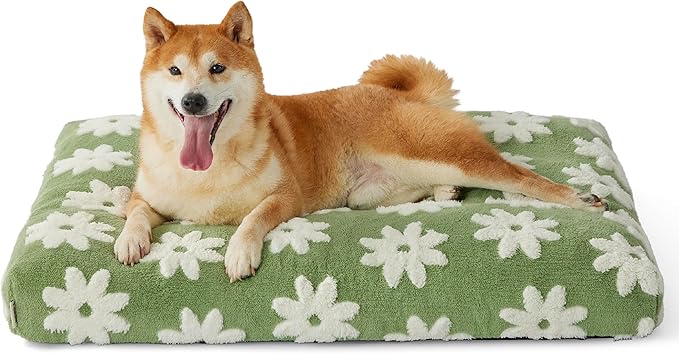 LE SURE Dog Beds Large Sized-Thick Shredded Chopped Foam Pet Bed Indoor with Removable Cover, Cute Modern Fuzzy Plush & Anti Slip Bottom, Green