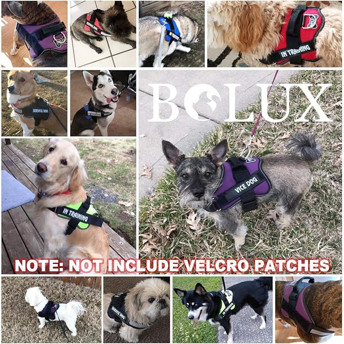 Bolux Dog Harness, No-Pull Reflective Dog Vest, Breathable Adjustable Pet Harness with Handle for Outdoor Walking - No More Pulling, Tugging or Choking (Black, XXL)