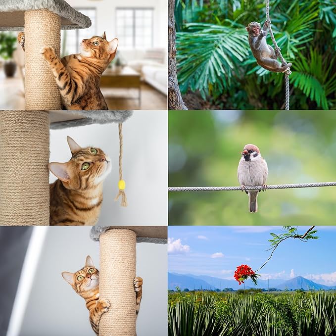 Premium Brazilian Sisal Rope, Natural Fiber 100% Sisal, Ultra Durable, Chemical-Free, Ideal for DIY, Cats, Scratching Post Replacement, Home Decor, Garden, Crafting (3/8” 600 ft / 9.5mm 180m)
