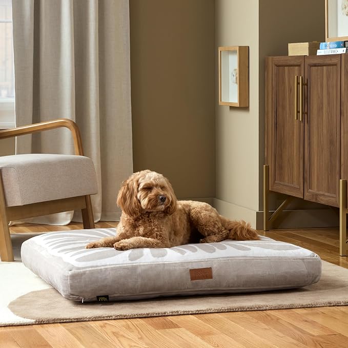 TOWN & COUNTRY LUXE CuddleTown Matisse Everwash® Pillow Pet Bed, Water Repellent Floor Pillow, Machine Washable Cover, Soft & Calming, Green, Medium 36"x28"x4"
