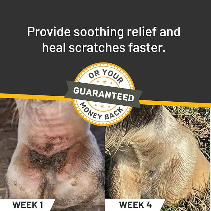 Silver Honey Rapid Relief 6oz Spray for Horses Only, Use for Equine Scratches/Pastern Dermatitis/Mud Fever/Dew Poisoning/Cracked Heels
