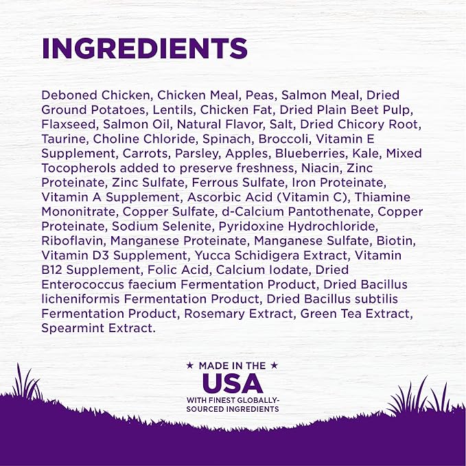 Wellness Complete Health Puppy Dry Dog Food, Grain Free, Natural, Chicken & Salmon Recipe, (22-Pound Bag)