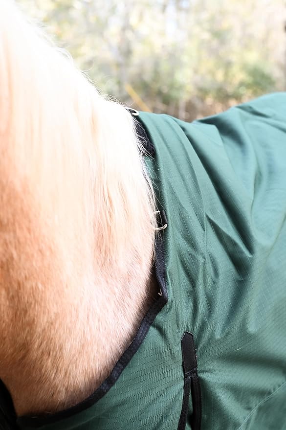 AJ Tack 1200D Waterproof Winter Horse Blanket - 400g Heavyweight Turnout with Fleece Collar, Shoulder Gussets & Tail Flap - Green 82"