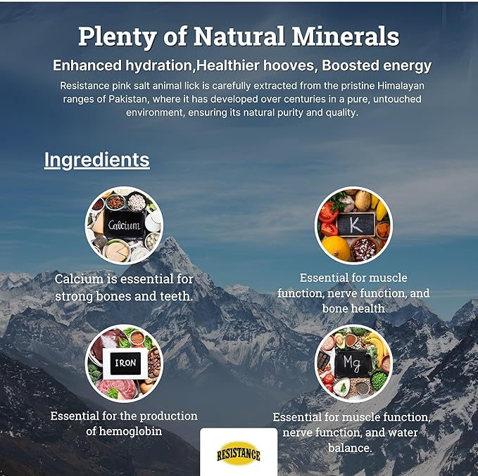 RESISTANCE Himalayan Salt Lick 2lb Block on Rope for Horses, Cattle, Deer, Goats, and Livestock – Pack of 4 Blocks