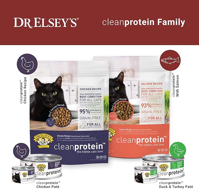 Dr. Elsey's cleanprotein Salmon & Chicken Homestyle Recipe All-Meat Pouch (Pack of 12)