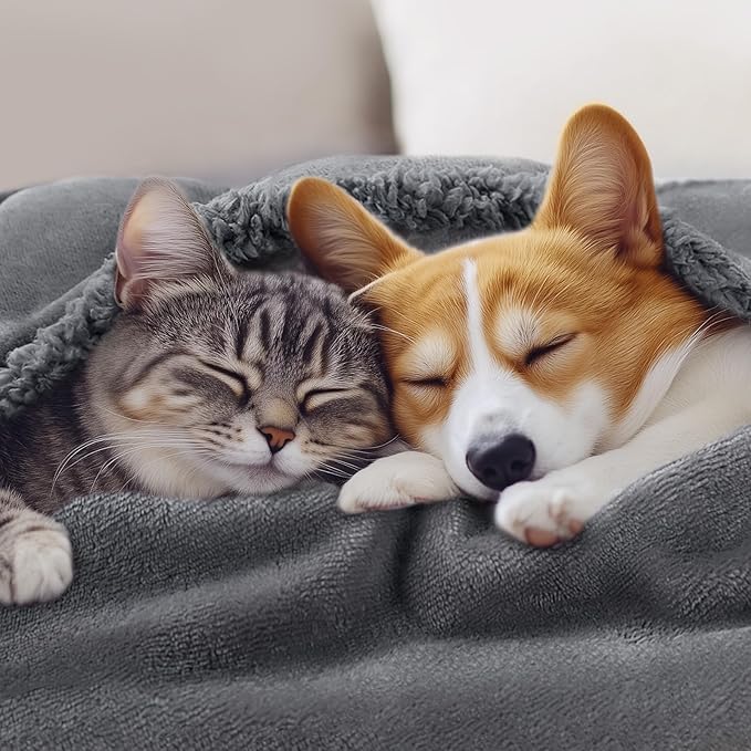 Luciphia Waterproof Bed Blanket Washable, Soft Sherpa Fleece Puppy Reversible Throw Blankets for Medium Large Dog Cat, Furniture Cover Protector Couch from Liquid Pee and Pet Fur, Light Grey,65" x 57"