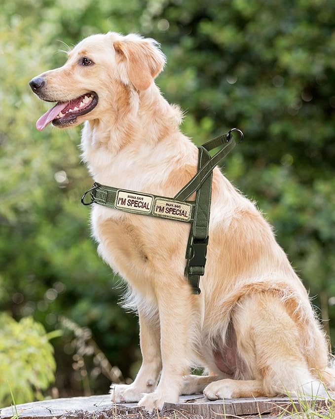 No Pull Dog Harness for Small Medium Large Sized Dogs, Escape Proof Adjustable Dog Harnesses with 2 Patch, Green Camo, L