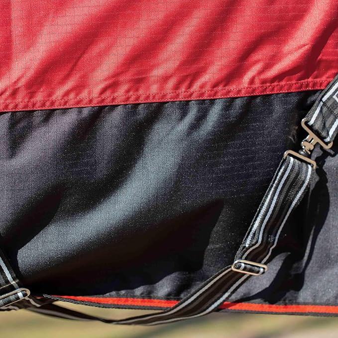Equinavia Norse No Fill Horse Rain Blanket (0g) | Waterproof Lightweight Turnout Sheet - Black - 66 in - Plum Wine/Orchid Haze - 69 in