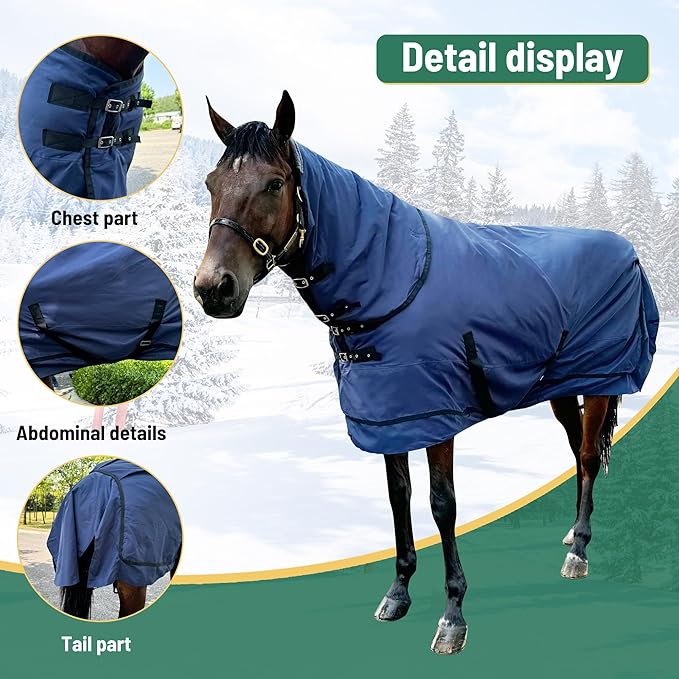 Horse Turnout Blanket | Medium Weight Horse Blanket with 1200D 280g Cotton Filling | Detachable Neck Cover & Belly Wrap (81i/155cm)