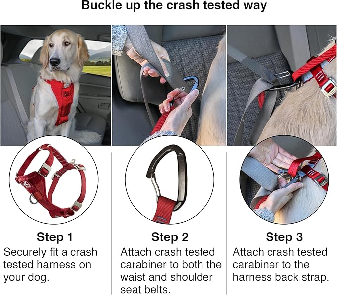 Kurgo Enhanced Strength Tru-Fit Dog Car Harness - Pet Travel Safety Harness - Crash Test Certified Fit - Five Point Adjustment - Secure Buckle - Padded Chest - Charcoal - Medium