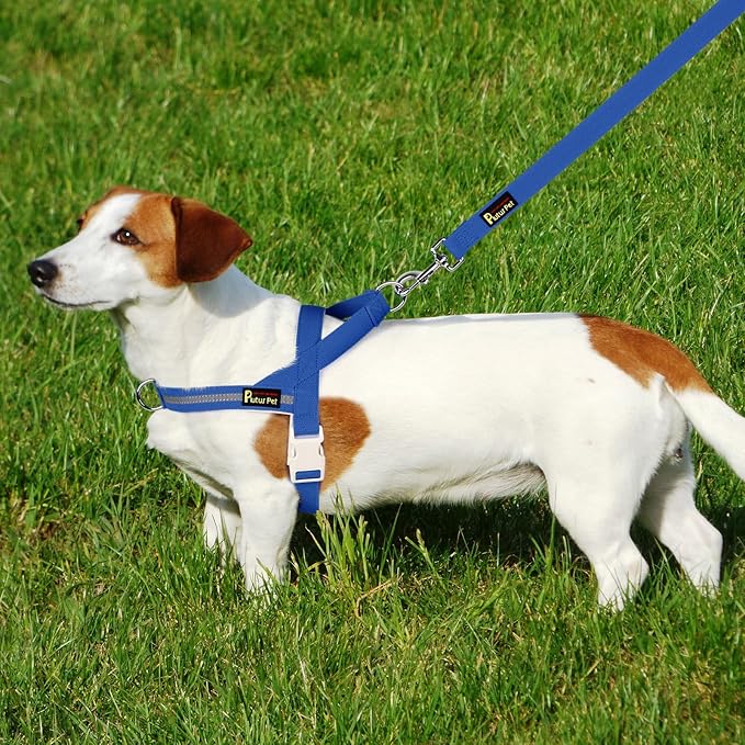 Plutus Pet Cotton Dog Harness and Leash Set, Reflective and Soft Padded, Quick Fit Vest Harness, for Small, Medium and Large Dogs, Royal Blue, XXS