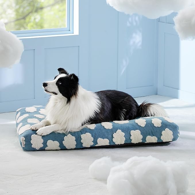 LE SURE Cute Dog Bed Large Sized Dogs-Thick Shredded Chopped Foam Pet Bed Indoor with Removable Washable Cover, Modern Fuzzy Plush & Anti Slip Bottom, Blue