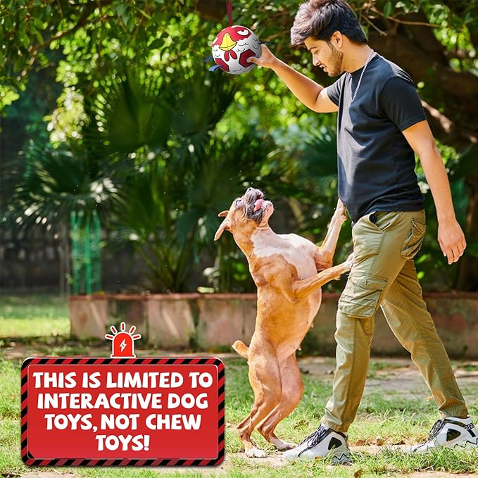 QDAN Dog Balls Toys, Outdoor Dog Toys, Dog Soccer Balls with with Straps, Premium Pet Puppy Birthday Gifts for Small Medium Dogs, 6 Inch, Chicken Ball