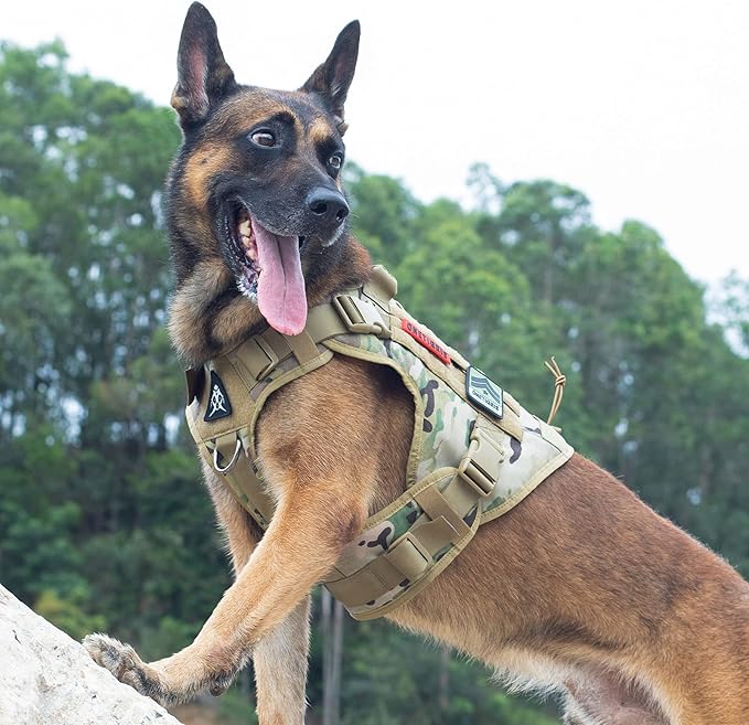 Tactical Dog Harness Vest with Handle, Military Dog Harness for Large Medium Dogs,No-Pull Service Dog Vest with Hook & Loop Panels,Adjustable Dog Vest Harness for Walking Hiking Training（Camo,M）