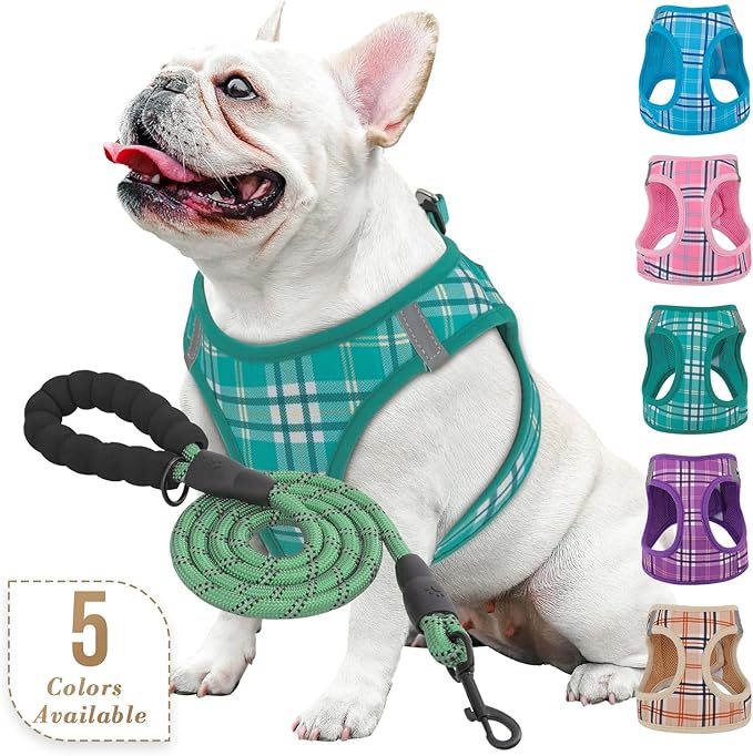 Athena Collection Step-in Dog Harness with 5 ft Leash, Medium Dog Harness Leash Set Large No Pull Dog Vest Harness with Reflective Strips Adjustable Velcro, Easy Walk Dog Harness, Green