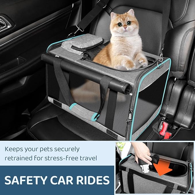 Airline Approved Pet Carrier Small Dog & Cats Under 15 lbs - 18x11x11 Inch Soft-Sided TSA Compliant Travel Bag for American, Delta & United Airlines Flight