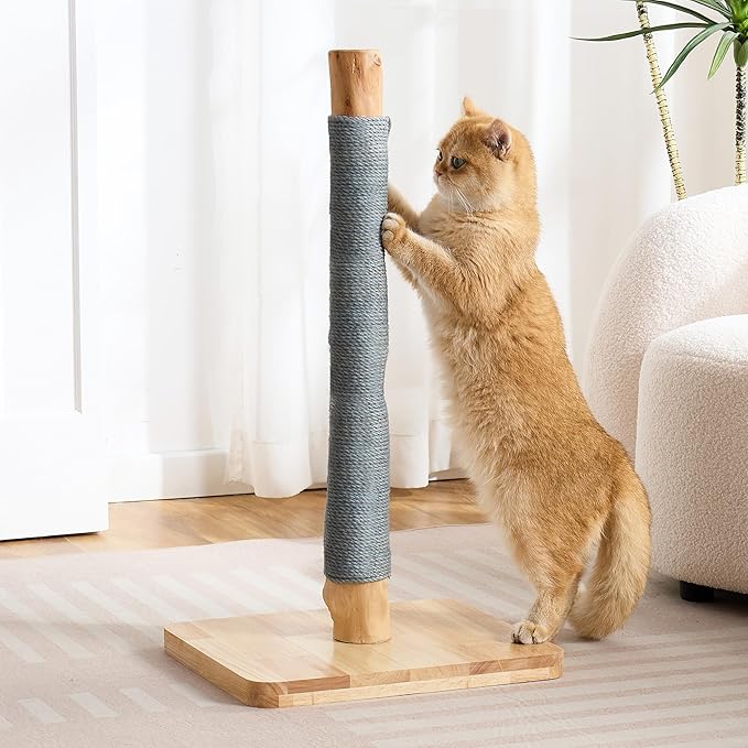 29" Tall Cat Scratching Post with Sisal Scratcher, Extra-Stable & Natural Solid Rubber Wood Base, Hanging Ball Toy for Indoor Cats Adults & Kittens, Gray