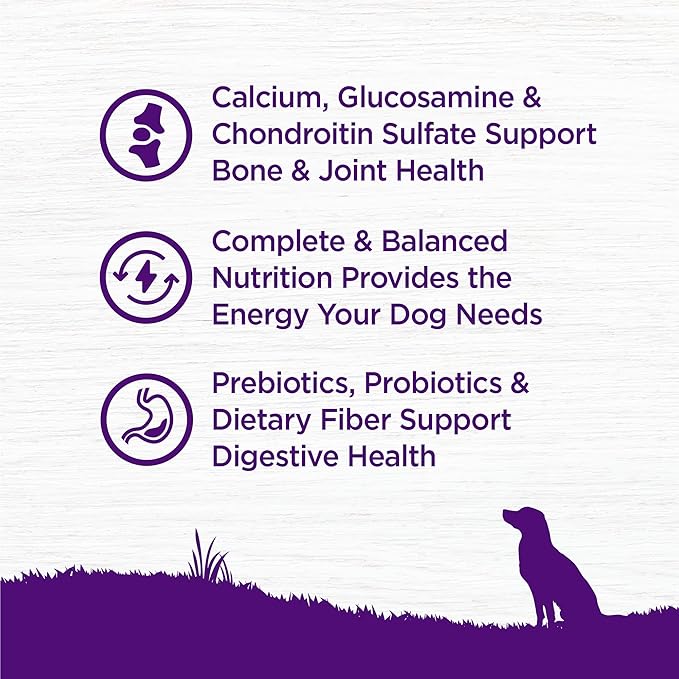 Wellness Complete Health Senior Dry Dog Food, Wholesome Grains, Natural, Age Advantage Chicken & Barley Recipe, (26-Pound Bag)