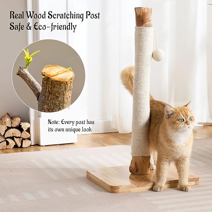 29" Tall Cat Scratching Post with Sisal Scratcher, Extra-Stable & Natural Solid Rubber Wood Base, Hanging Ball Toy for Indoor Cats Adults & Kittens, White