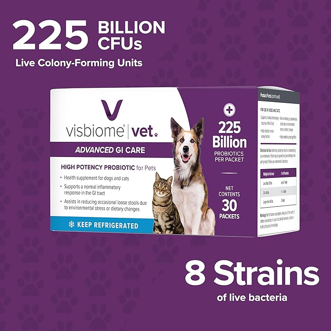 Visbiome® Vet Advanced GI Care High Potency Probiotic for Dogs & Cats – 225B CFU, 8-Strain Formula – Refrigerated, Veterinarian Recommended, Clean Label Certified – 60 Packets