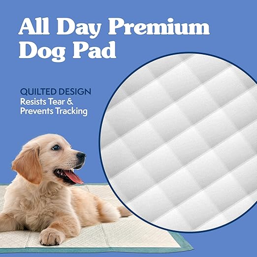Simple Solution Puppy Training Pads – Large Leak-Proof Potty Pads for Dogs – Disposable with Odor Control and Absorbent Core for Floor Protection – 23 x 24 Inches – 100 Count