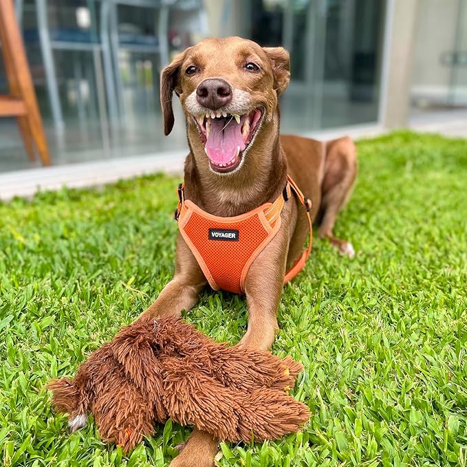 Best Pet Supplies Voyager Mesh Dog Breathable Harness Reflective Stitching, All Weather Adjustable for Walking Training, or Running - Heavy Duty & Durable, Harness (Orange), XL
