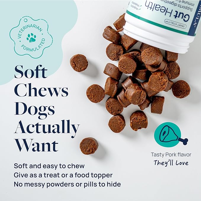 Veterinary Formula Gut Health Supplement for Dogs – Vet-Formulated Probiotic Chews with Digestive Enzymes & Fiber – Smart Vitality Supports Digestive Health, Gut Balance & Stool Quality, 60 Soft Chews
