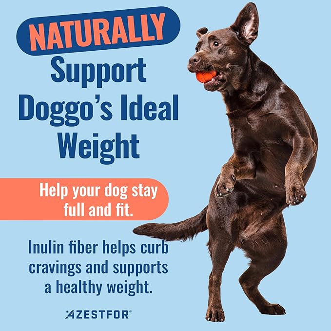 Azestfor Gut Health Supplement for Dogs – 3 in 1 Probiotic, Prebiotic & Postbiotic Blend – Supports Digestion, Immunity & Skin – Easy-to-Use Powder – for All Breeds & Sizes – 60g (30 Servings)