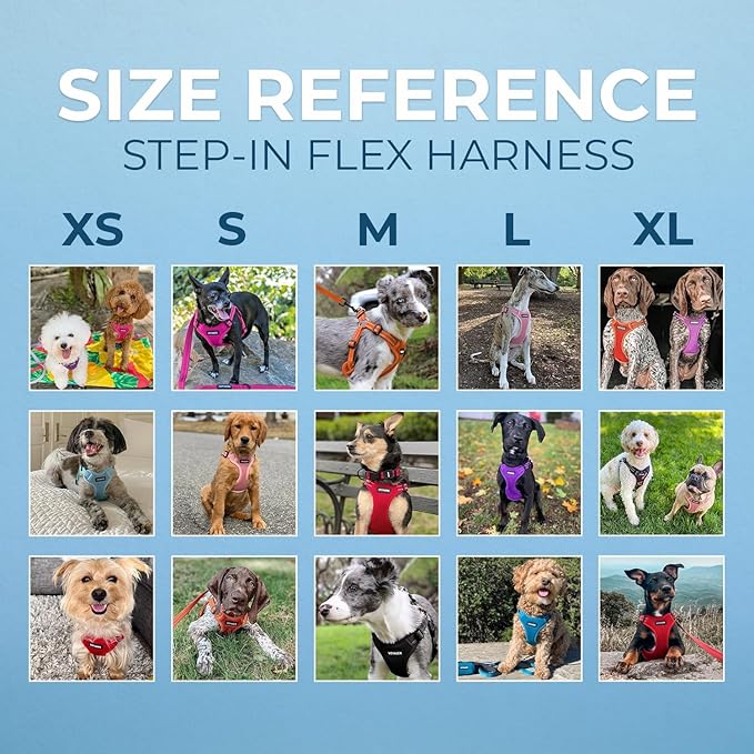 Best Pet Supplies Voyager Mesh Dog Breathable Harness Reflective Stitching, All Weather Adjustable for Walking Training, or Running - Heavy Duty & Durable, Harness (Baby Blue), S