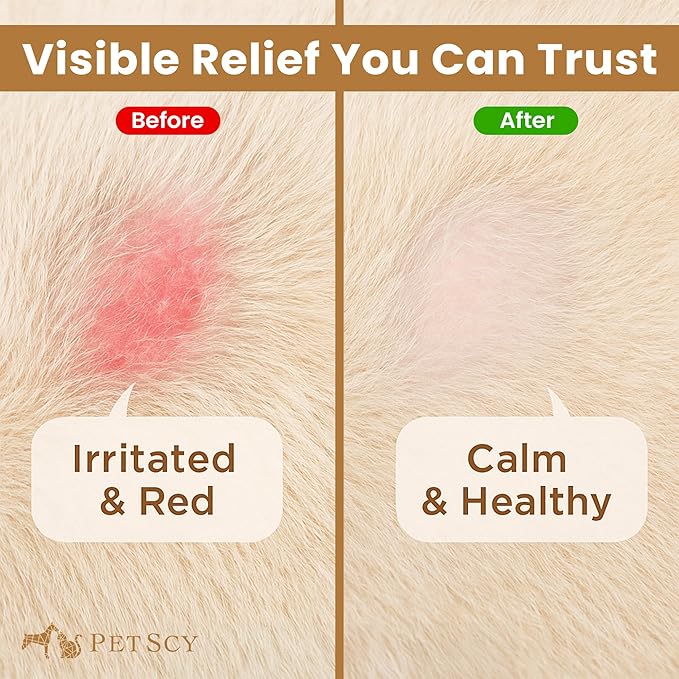 Petscy Keto Skin Travel Wipes - Antiseptic Dog Wipes for Paws, Ears, Facial Folds, Underarms & Other Sensitive Areas for Dogs & Cats – Aloe-Infused, Non-Greasy Formula (Travel)