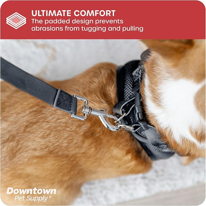 Downtown Pet Supply Step-in Dog Harness – No Pull, Adjustable Padded Mesh with Reflective Trim, Secure Buckle Strap – Comfortable & Breathable Small Dog Harness, Medium, Charcoal