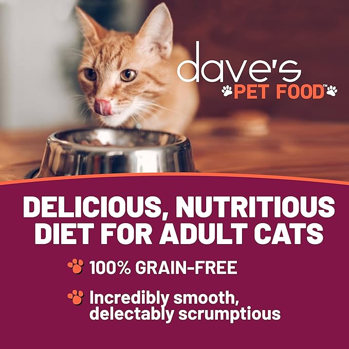 Dave's Pet Food Grain Free Wet Cat Food (Tuna & Chicken in Gravy), Naturally Healthy Canned Added Vitamins & Minerals, Wheat & Gluten-Free, 3 oz (24 Pack)