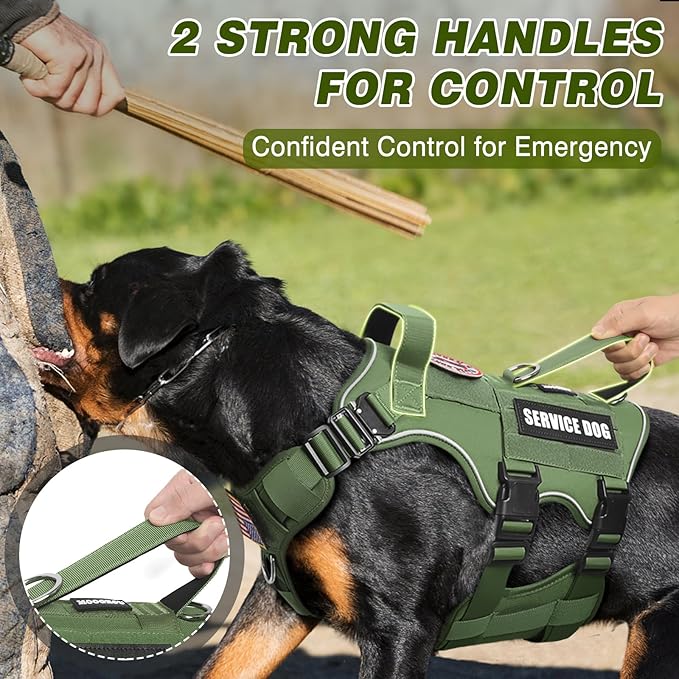 Tactical Service Dog Vest Harness and Leash Set,Heavy Duty Dog Harness with Metal Buckles for Large Dogs,Adjustable No Pull Pet Vest with 10 Patches,for Training Working,Green L