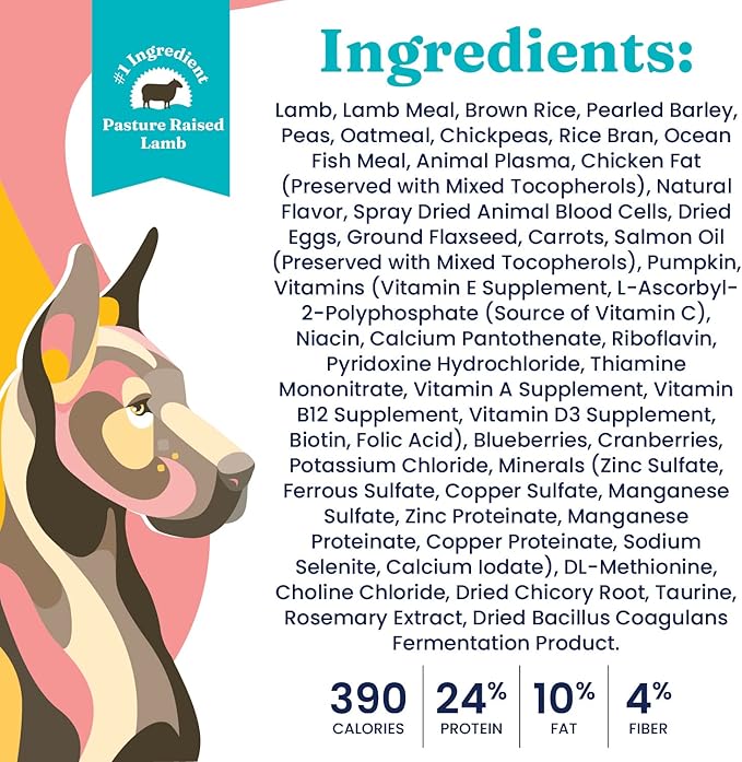 Solid Gold Dry Dog Food for Adult & Senior Dogs - Made with Real Lamb & Brown Rice - NutrientBoost Hund-N-Flocken Healthy Dog Food for Weight Management & Digestive Support - 4 LB Bag