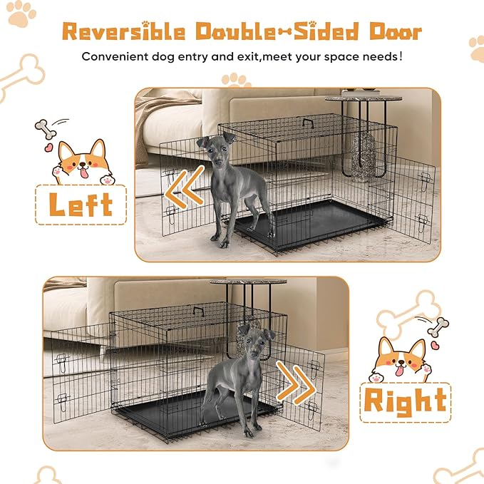DUMOS Dog Crate, 36 Inch Medium Double Door Dog Cage with Divider Panel and Plastic Leak-Proof Pan Tray, Folding Metal Wire Pet Kennel for Indoor, Outdoor, Travel