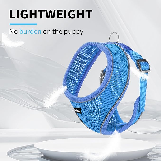 AIITLE Small Dog Harness, Triple-Layer Breathable Mesh, Adjustable Fit & Reflective Design, Choke-Free Over-The-Head Vest for Indoor/Outdoor Use, Perfect for Maltese, Chihuahua (S, Blue)